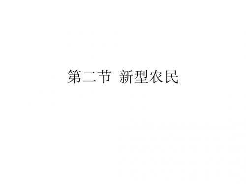 新型农民