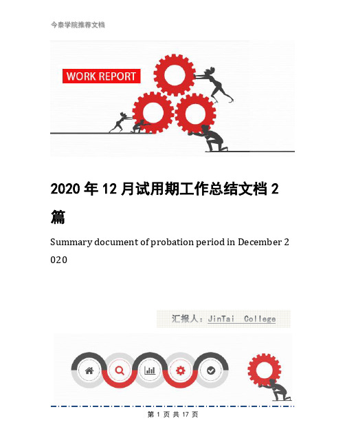 2020年12月试用期工作总结文档2篇