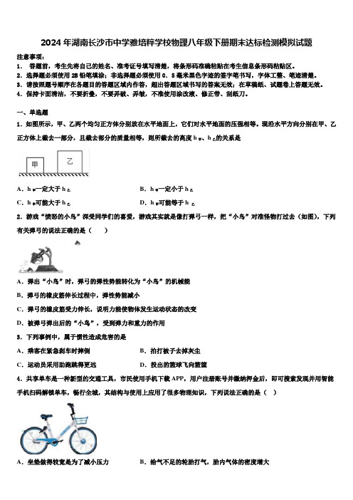 2024年湖南长沙市中学雅培粹学校物理八年级下册期末达标检测模拟试题含解析