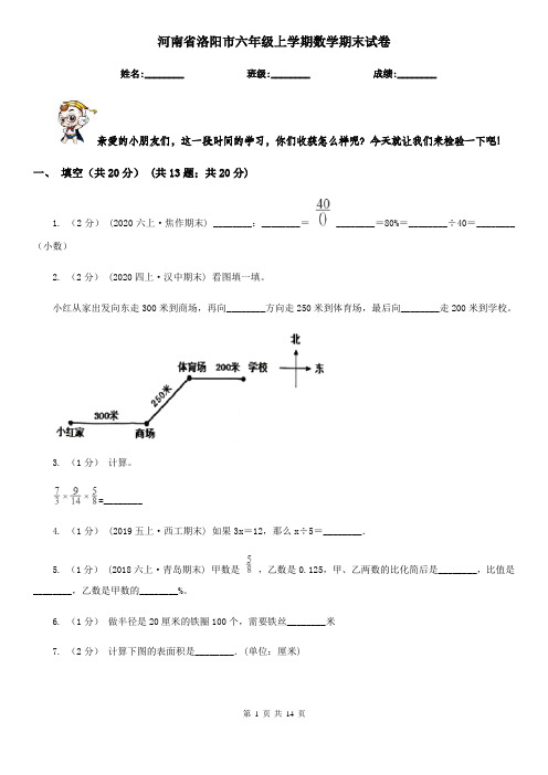 河南省洛阳市六年级上学期数学期末试卷