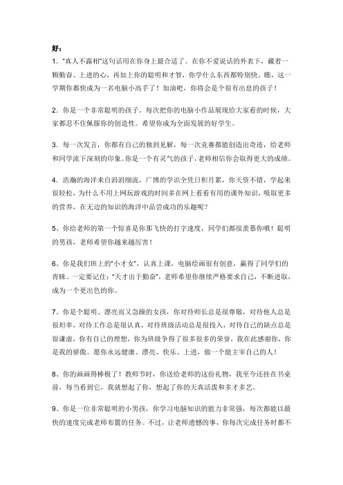 信息科技评语