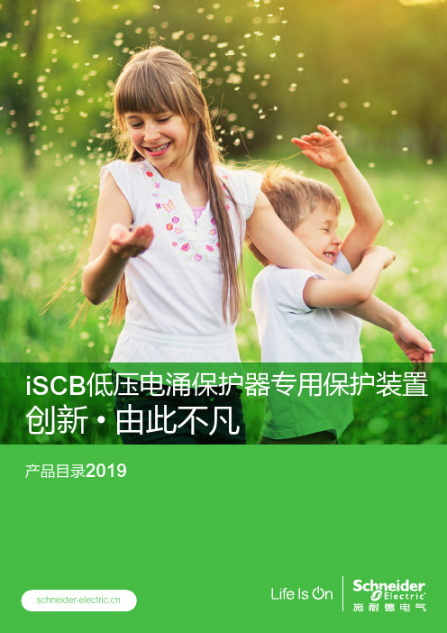 iSCB低压电涌保护器专用保护装置产品目录201906