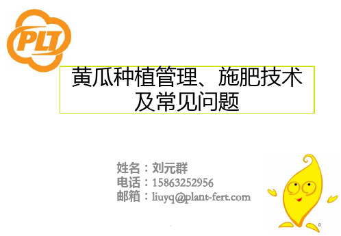 黄瓜种植管理、施肥技术及常见问题PPT课件