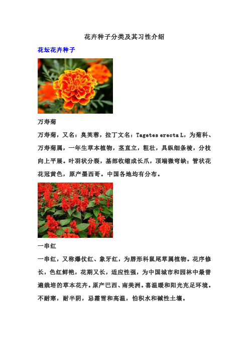 花卉种子分类及其习性介绍