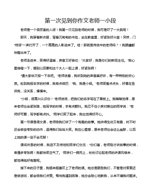 第一次见到你作文老师一小段