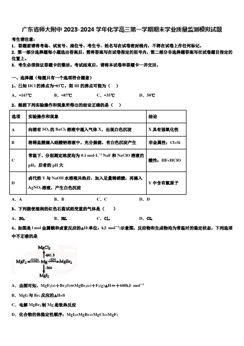 广东省师大附中2023-2024学年化学高三第一学期期末学业质量监测模拟试题含解析