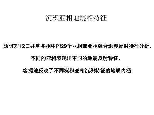 沉积相的地震相特征汇总