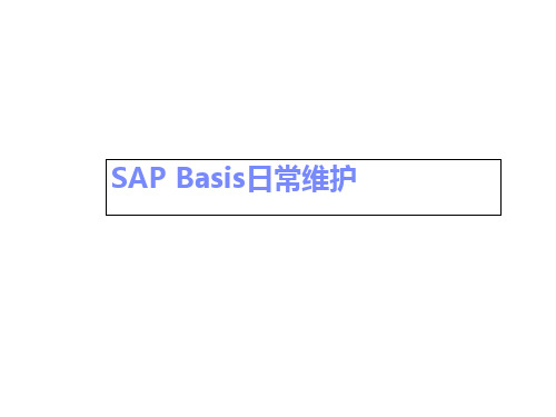 SAP-Basis-日常维护(basis经典教程)-PPT课件