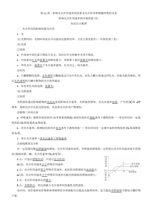 第3单元 第11讲 影响光合作用速率的因素及光合作用和细胞呼吸的关系-2021届高考一轮复习生物讲义