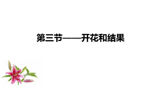 初中生物人教版(新课程标准)七年级上册第三单元  第二章 第三节 开花和结果     课件(共25张PPT)