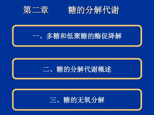 生物化学(2)第二章  糖的分解代谢