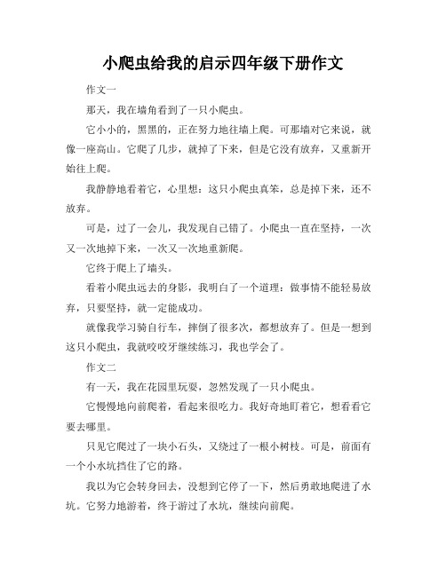 小爬虫给我的启示四年级下册作文