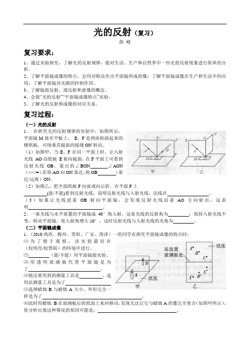 光的反射(学案)