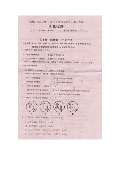 河南省信阳市高二生物上期期末调研检测试题(扫描版)新人教版