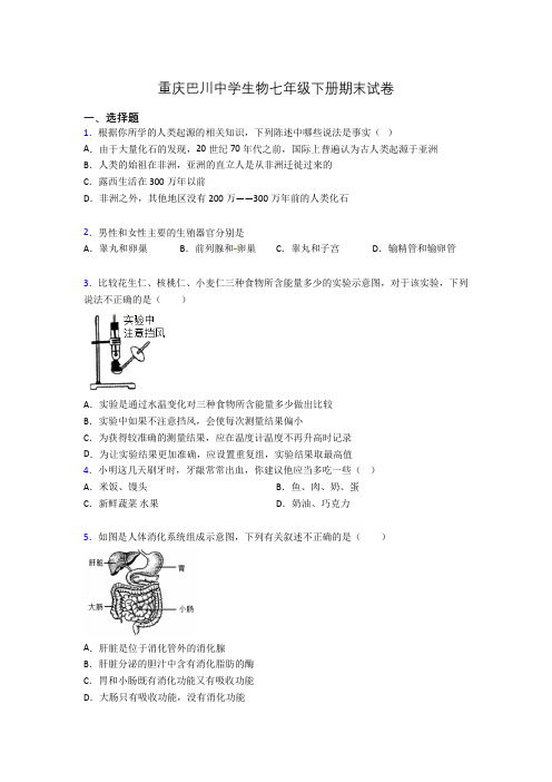 重庆巴川中学生物七年级下册期末试卷