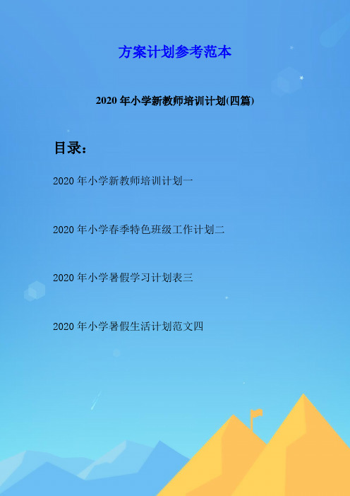 2020年小学新教师培训计划(四篇)