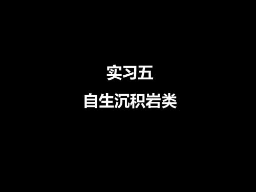 实习5鲕粒灰岩资料