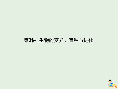 2020版高考生物二轮复习专题四遗传、变异与进化3生物的变异、育种与进化课件