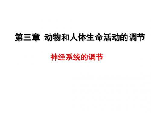 动物和人体生命活动的调节 课件  高中生物课件