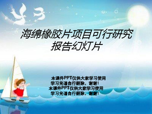 海绵橡胶片项目可行研究报告幻灯片