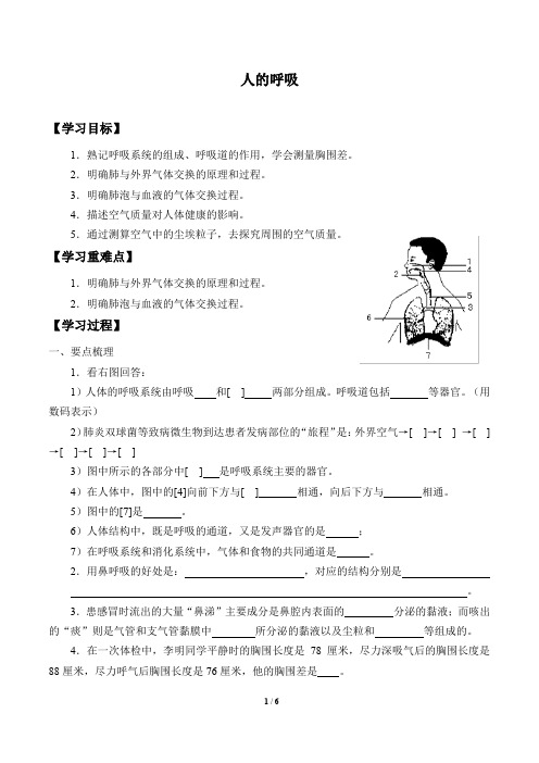 京改版生物七年级下册：6.1 人的呼吸  学案(无答案)