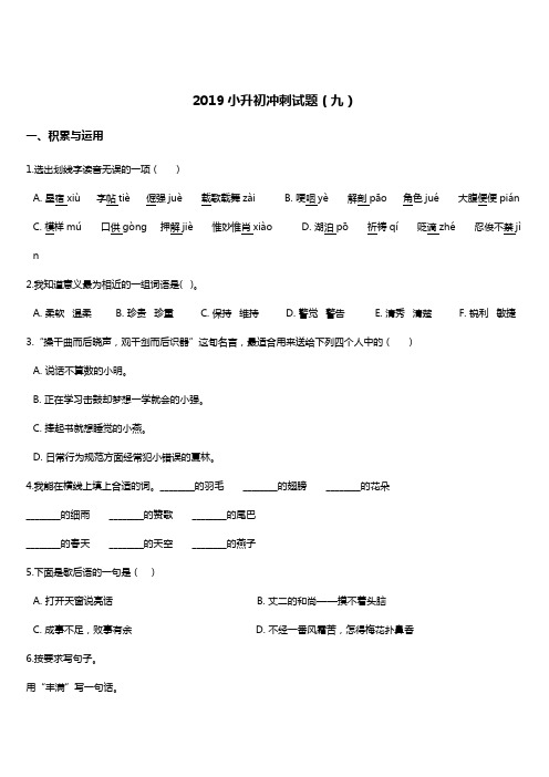 2019年小升初语文冲刺试题(9) 人教新课标 含答案