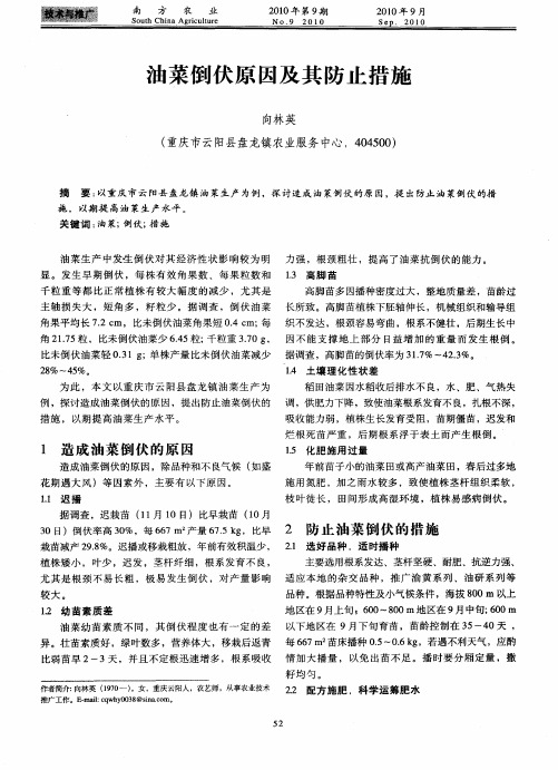 油菜倒伏原因及其防止措施