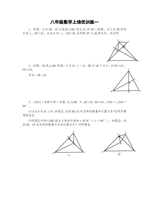 八年级数学上期末培优训练(7份)