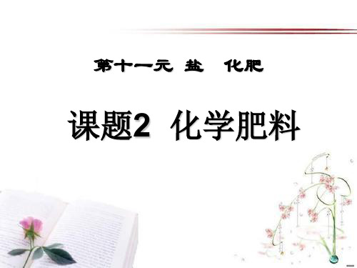 《化学肥料》盐化肥3PPT课件  图文