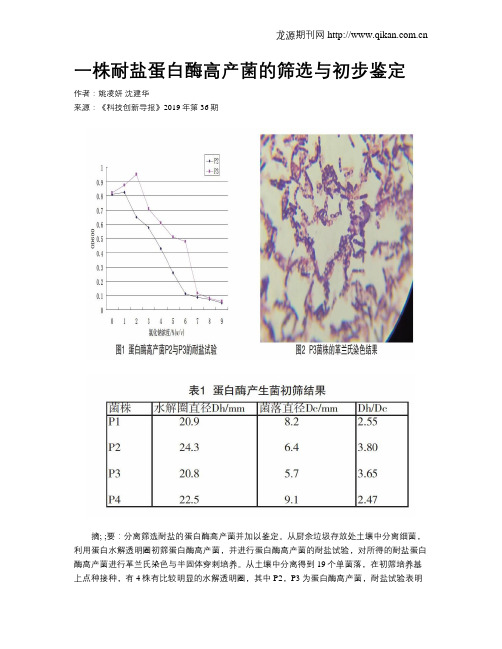 一株耐盐蛋白酶高产菌的筛选与初步鉴定