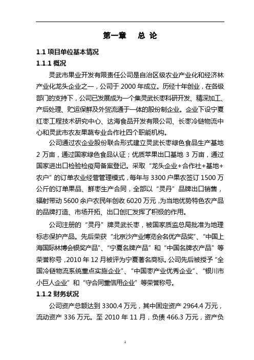 (可行性报告)吨红枣深加工生产线可行性研究报告