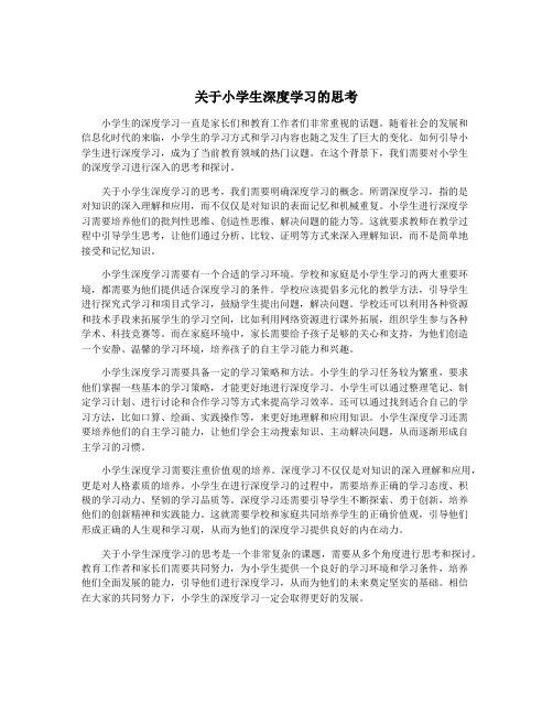 关于小学生深度学习的思考