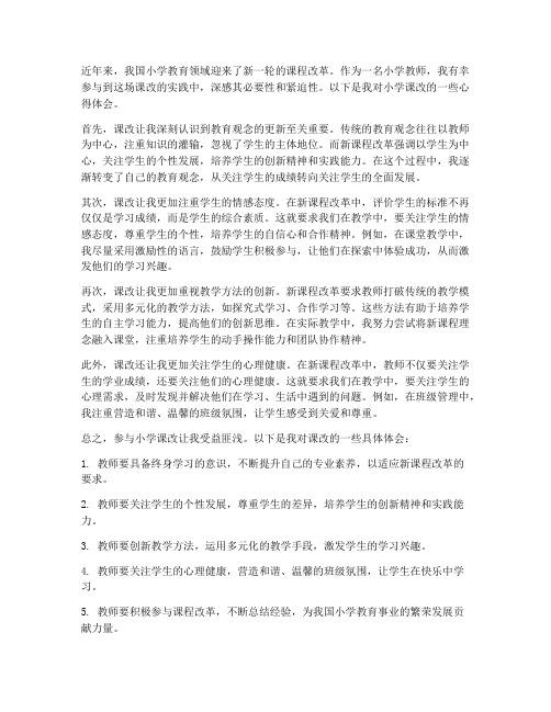 教师小学课改心得体会