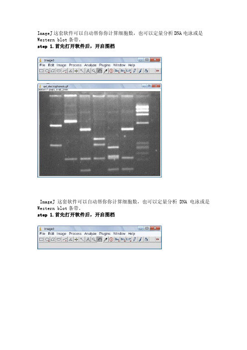 imagej 常用功能教程