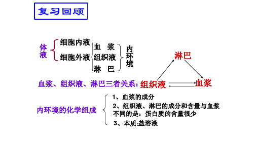 (新教材)人教版(2019)高中生物 选择性必修1 1.2 内环境的稳态  课件(共33张PPT)