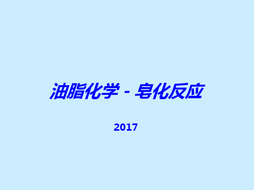 2017-油脂化学之皂化反应