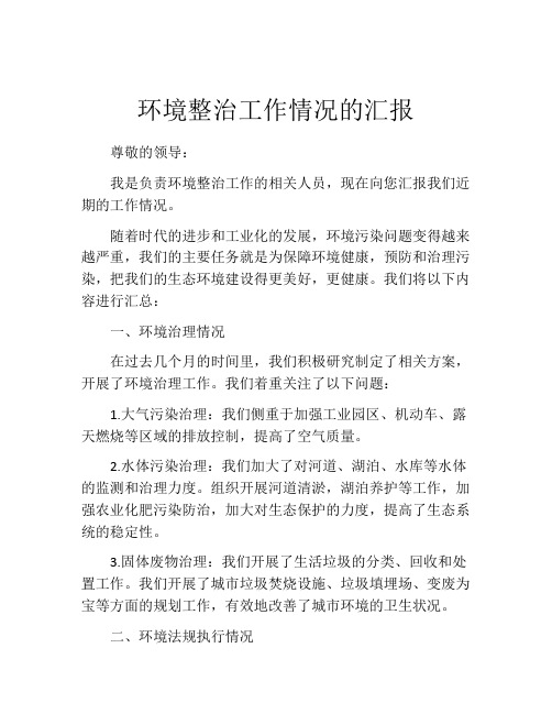 环境整治工作情况的汇报