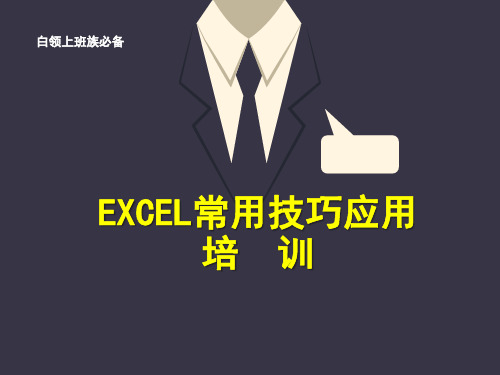 EXCEL常用技巧白领必备技能