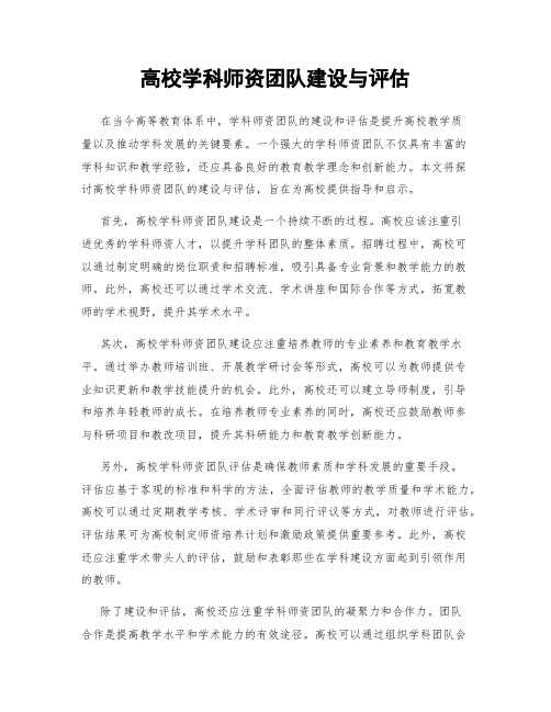 高校学科师资团队建设与评估