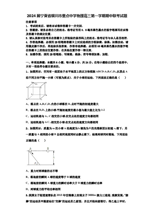 2024届宁夏省银川市重点中学物理高三第一学期期中联考试题含解析