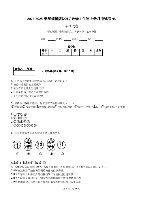 2024-2025学年统编版(2019)必修2生物上册月考试卷43