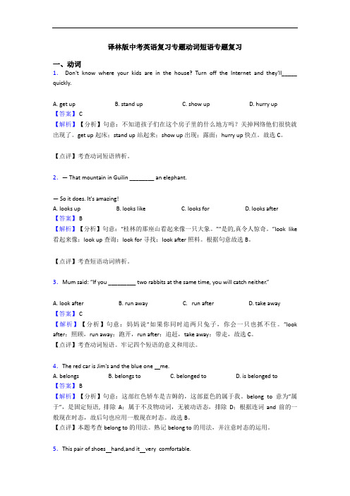 译林版中考英语复习专题动词短语专题复习