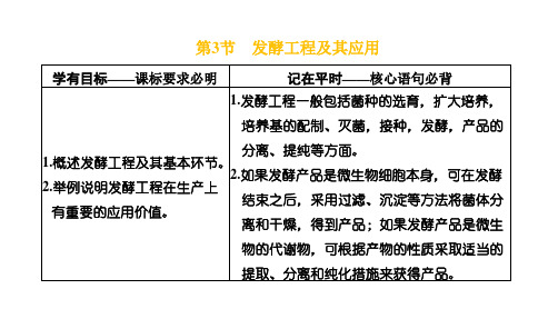 第3节发酵工程及其应用