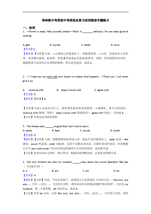 译林版中考英语中考英语总复习动词短语专题练习