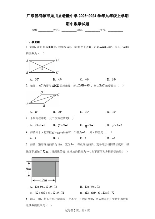 广东省河源市龙川县老隆中学2023-2024学年九年级上学期期中数学试题