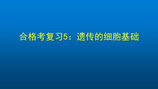 高一生物学人教版必修2合格考复习5:遗传的细胞基础