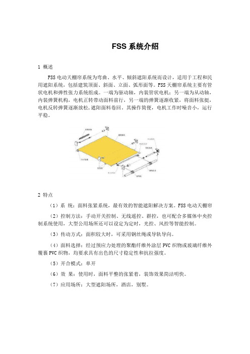 FSS系统介绍