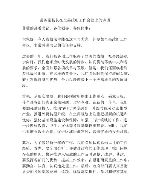 常务副县长在全县政府工作会议上的讲话