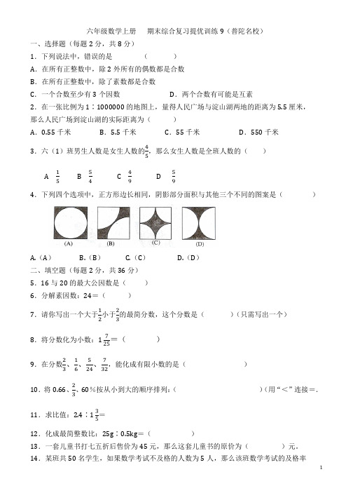 沪教版  六年级数学上册 期末综合提优训练9(普陀名校)