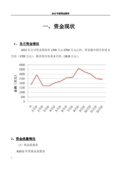 财务报告-2012年度资金报告